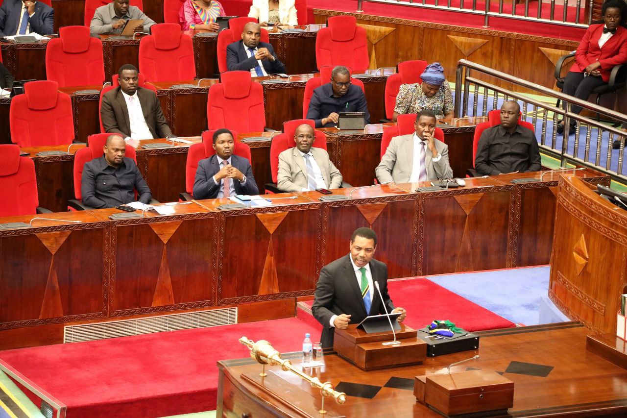 tanzania-introduces-digital-service-tax-the-chanzo