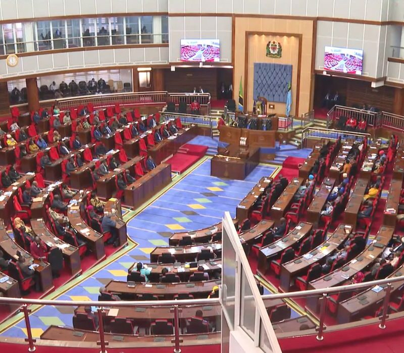 Of the Govt Budget, New Constitution and the Future of Tanzania