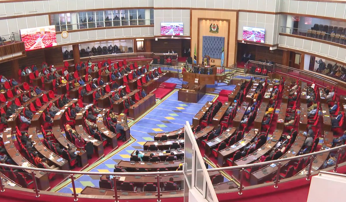Of the Govt Budget, New Constitution and the Future of Tanzania