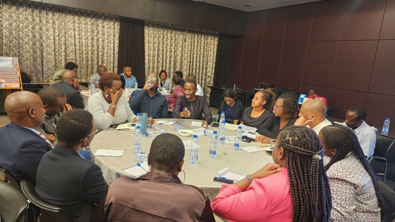 Organisation Underway As CSOs Await Tanzania to Rejoin OGP Initiative