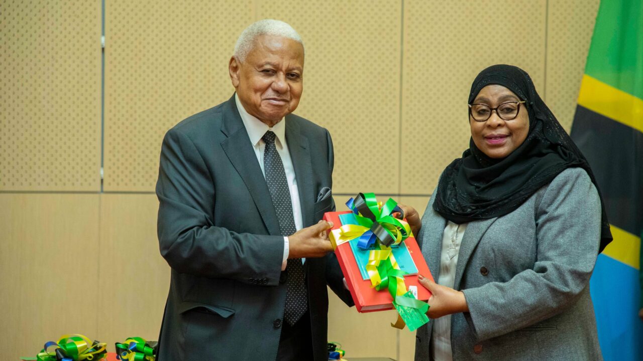 Tume Yaitaka Serikali Kuacha Kuanzisha Taasisi Zenye Taswira ya Kijeshi