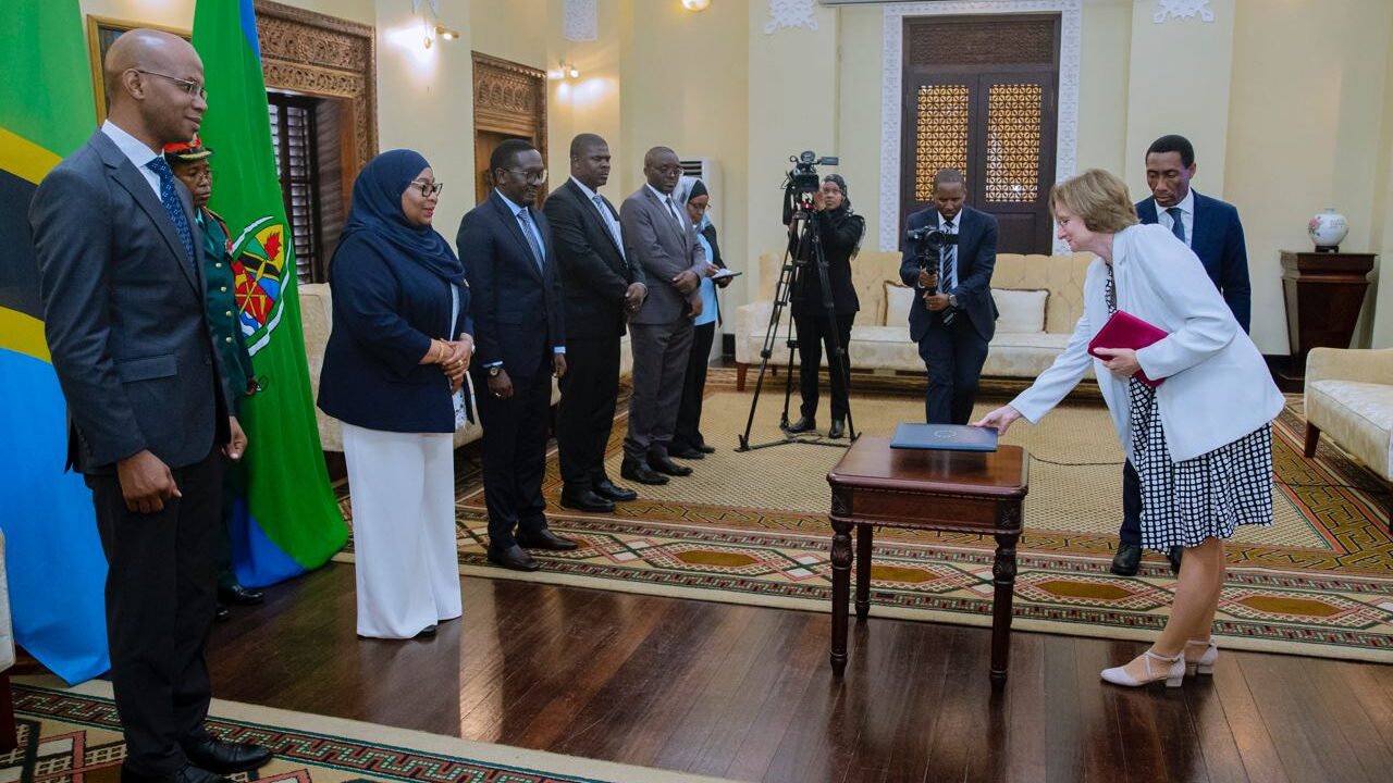 New EU Ambassador to Tanzania Presents Credentials to President Samia