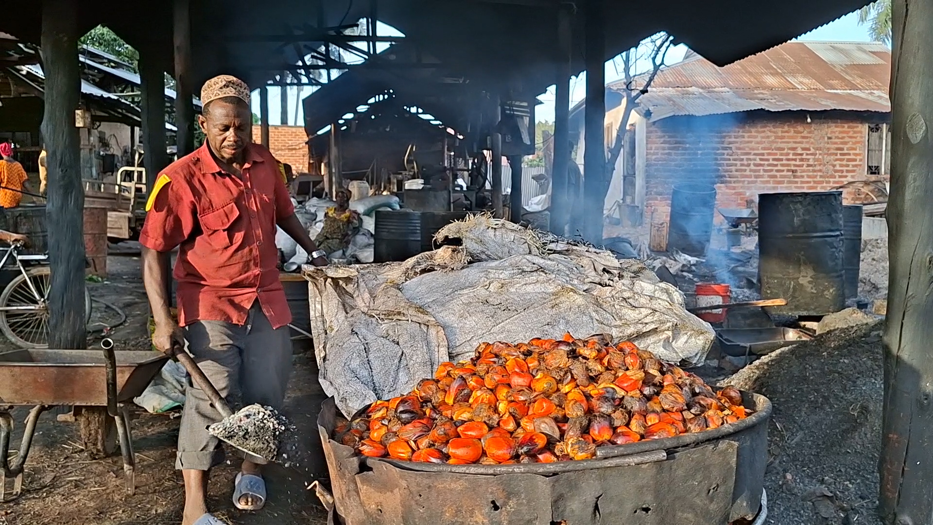 Mabaki ya Mchikichi Yageuka Fursa ya Nishati na Uhifadhi wa Mazingira Kigoma